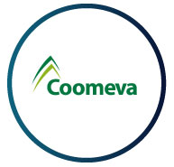 imagenes_graficas_coomeva