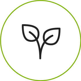 icon-sostenibles-vacio