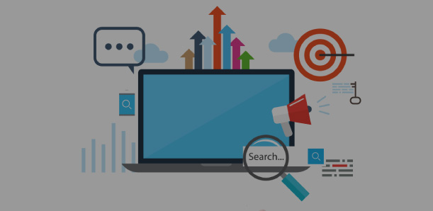 Search Engine Optimization (SEO)